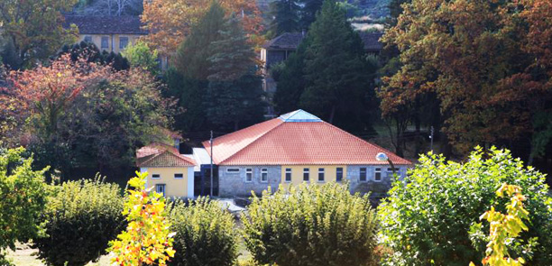 cavaca