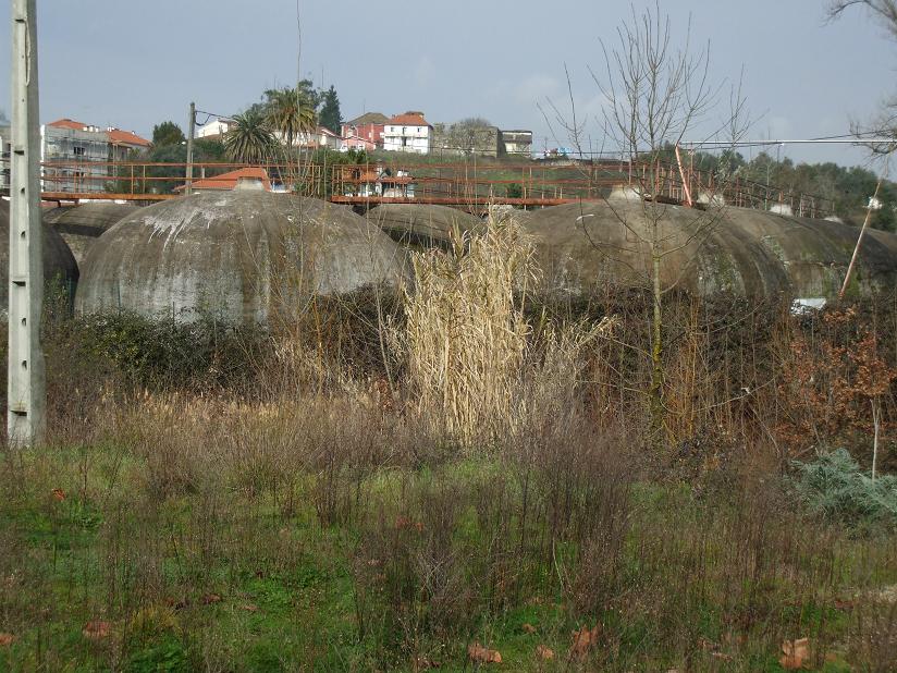 PolisIIIa