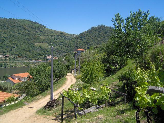HPIM1127.JPG
