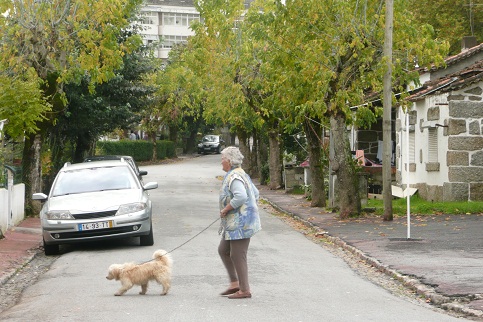 Bairro