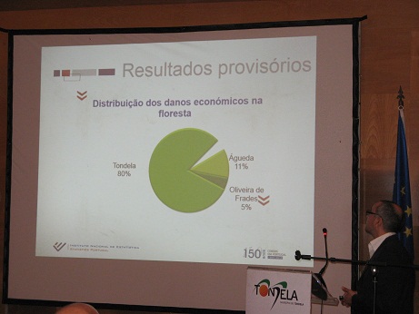 Tondela fogos1