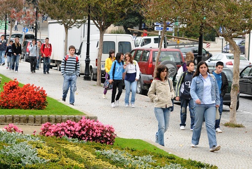 Bolsas Lamego