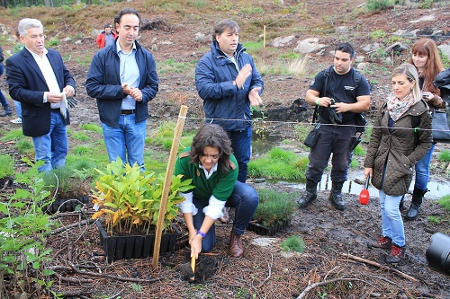 floresta vouzela