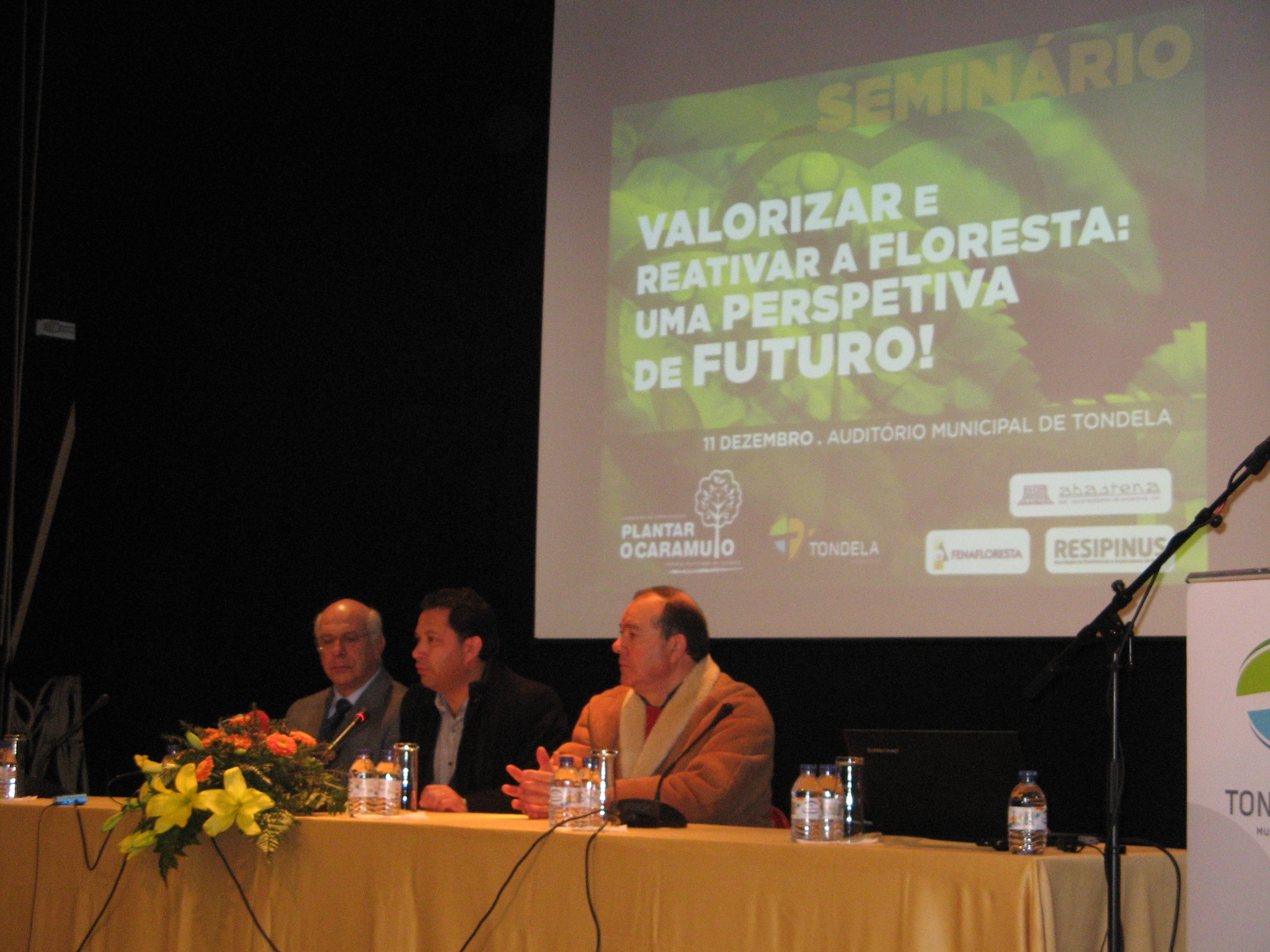 Floresta Tondela 1