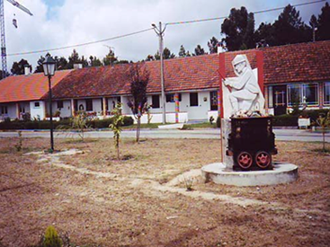 Casas Urgeiriça.jpg