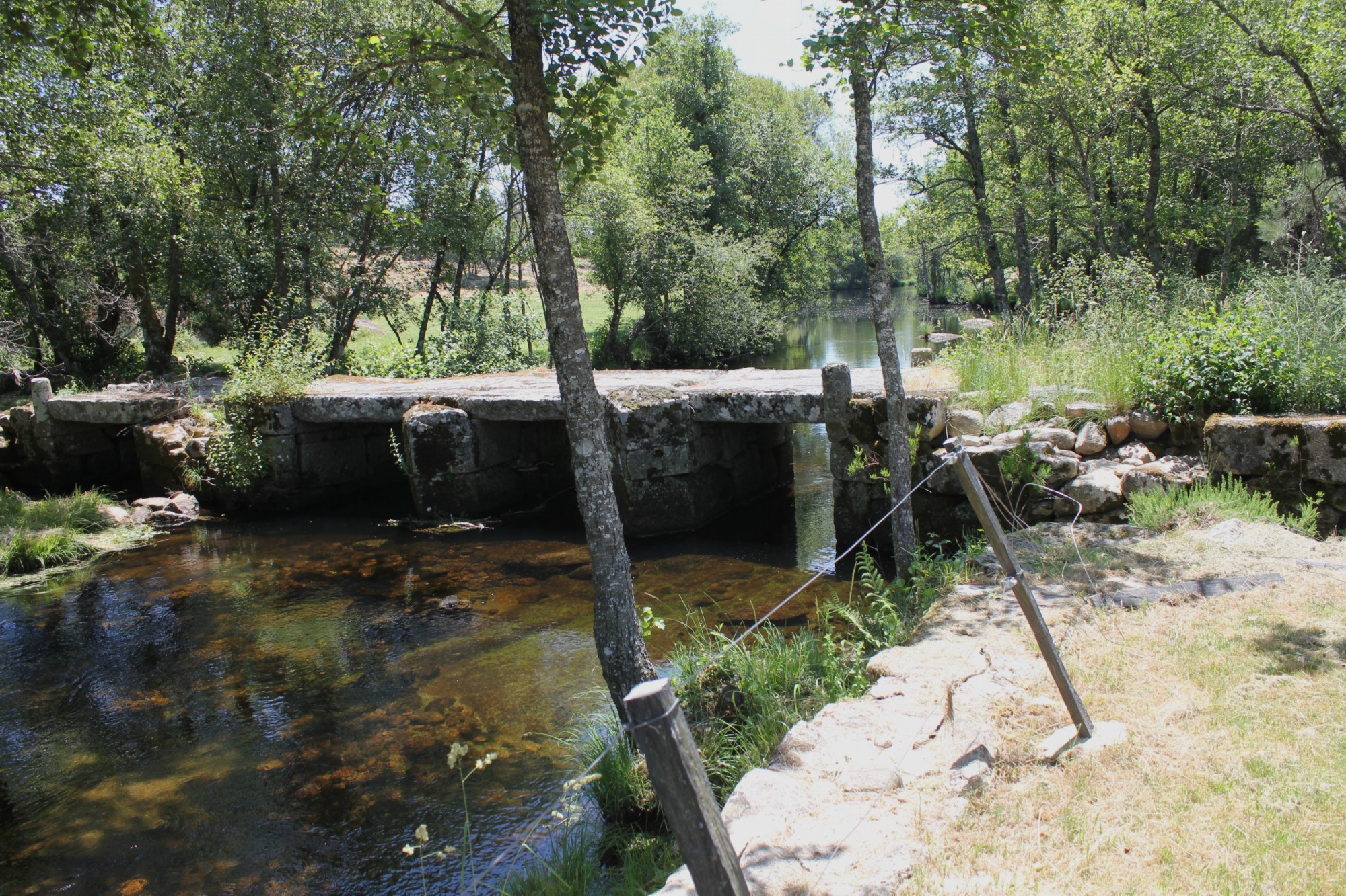 Rio Paiva 2