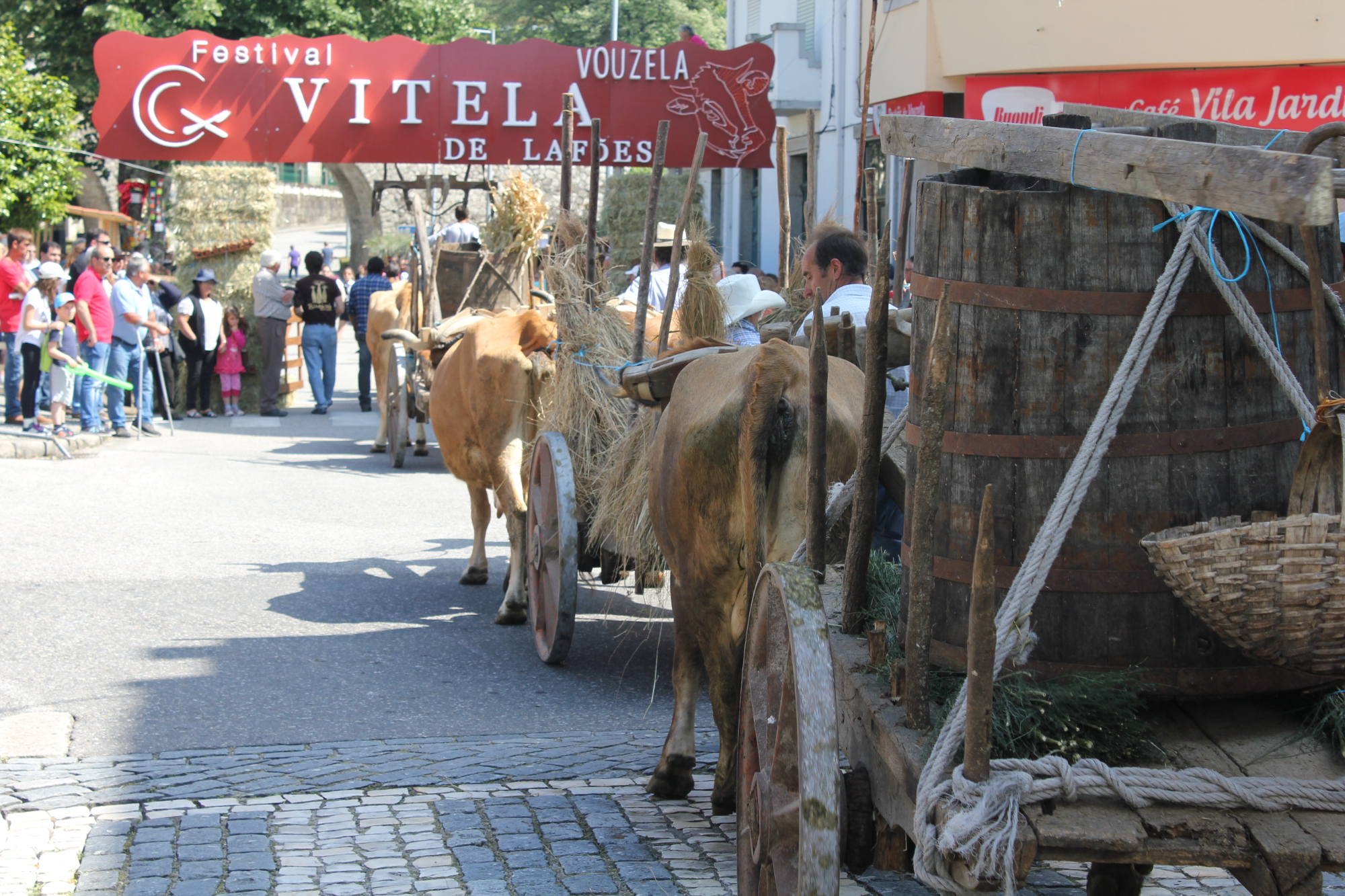 Vitela Lafões.jpg