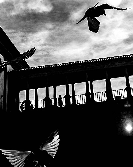 Instameet Viseu.jpg