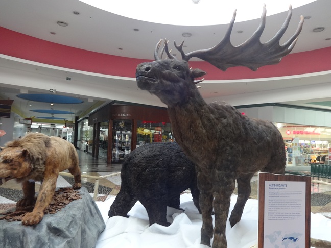 Exposição Viseu