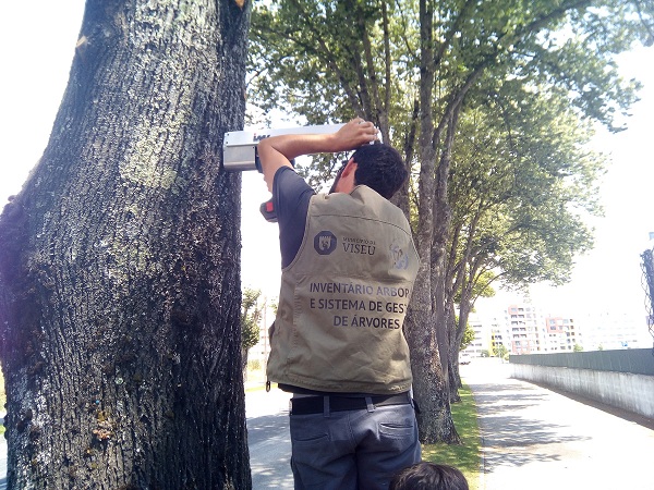 Estudo ESAV.jpg