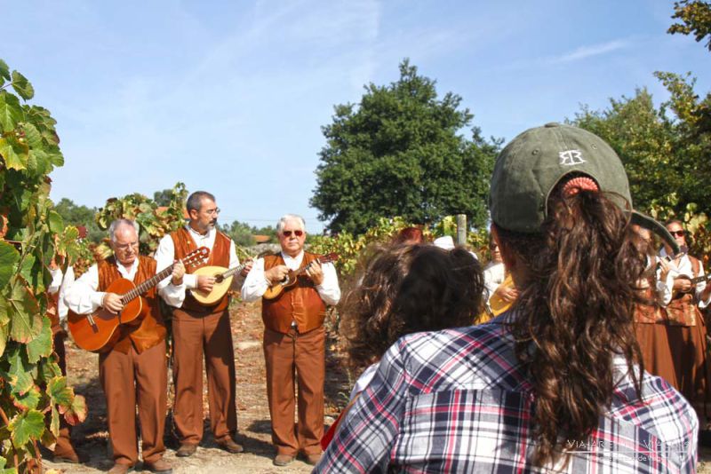 Festa Vindimas.jpg