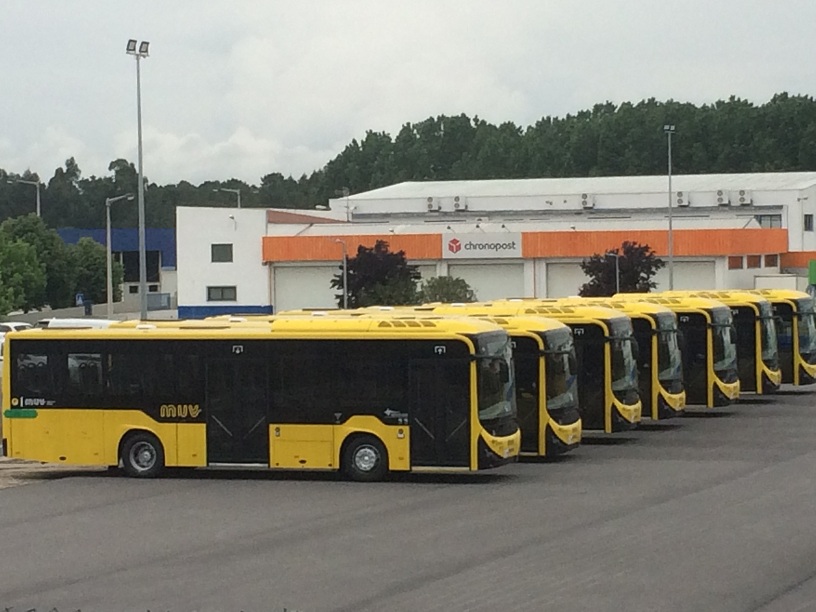 Novos Autocarros.jpg