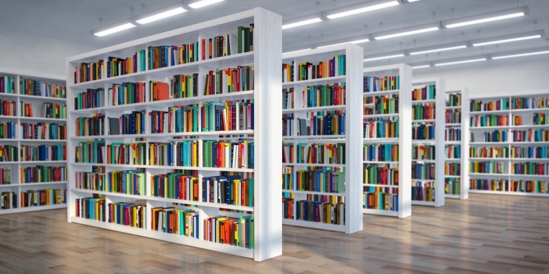 Luz verde para a Rede Intermunicipal das Bibliotecas Viseu Dão Lafões