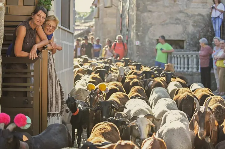 Castro Daire nos trilhos do turismo sustentável