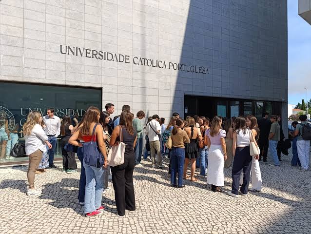 Católica Executive Education com formação de topo para empresas e instituições